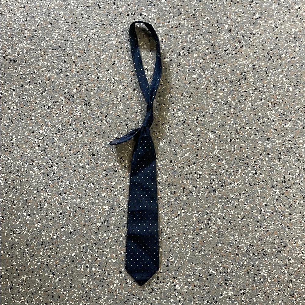 Classic Navy Polka Dot Tie